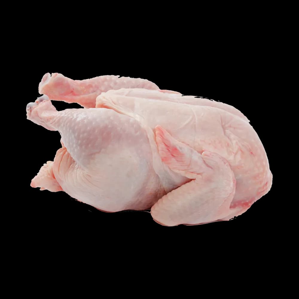 Chicken Meat - image 1