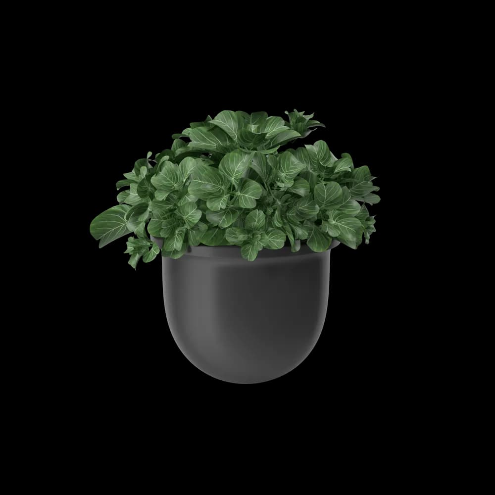 Plant Pot - image 1